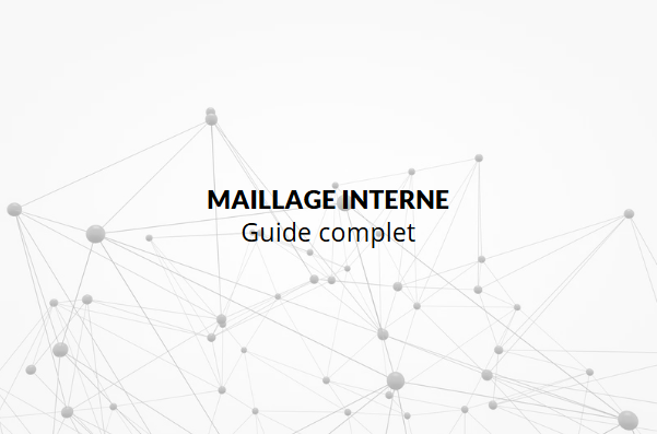 Maillage interne : l’autre facette des liens au service de votre site web
